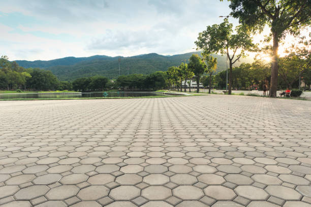 Best Best Driveway Pavers  in Montclair, VA